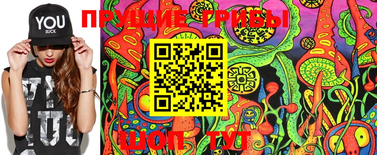 Галлюциногенные грибы GOLDEN TEACHER  купить  сайты  Бугуруслан  Вход с VPN  Псилоцибиновые грибы мицелий 